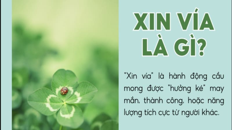 Hiểu rõ khái niệm: Xin vía đánh bài là gì?