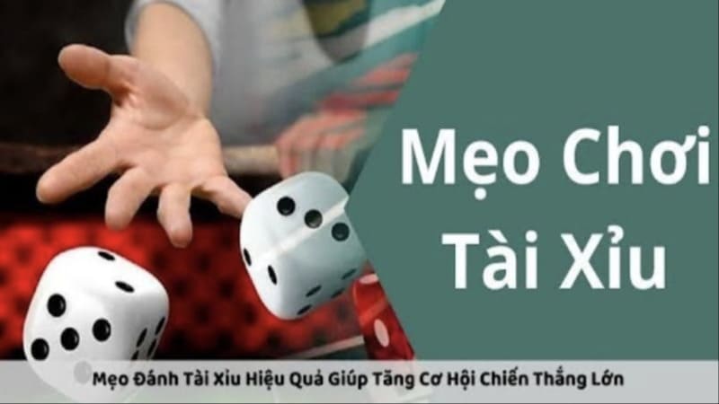 Các Hình Thức Cược Trong Tài Xỉu Uk88