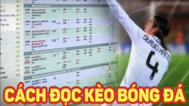 Tầm quan trọng của việc hiểu bảng tỷ lệ bóng đá