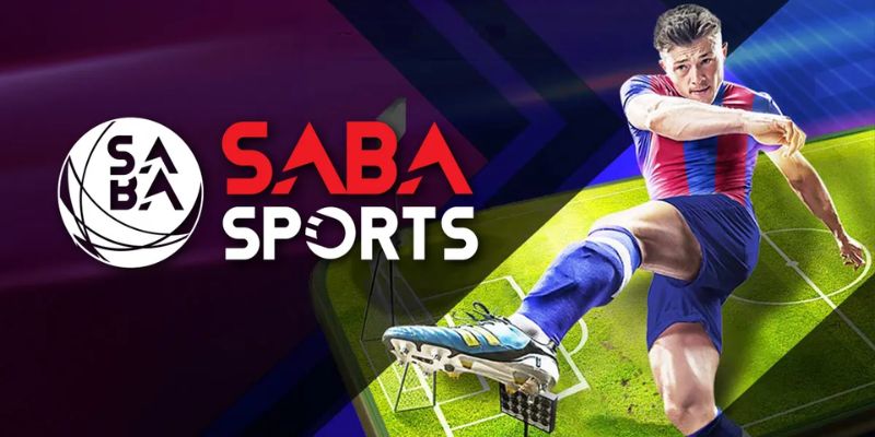 Bí quyết chơi cá độ bóng đá hiệu quả tại SABA Sports Sunwin